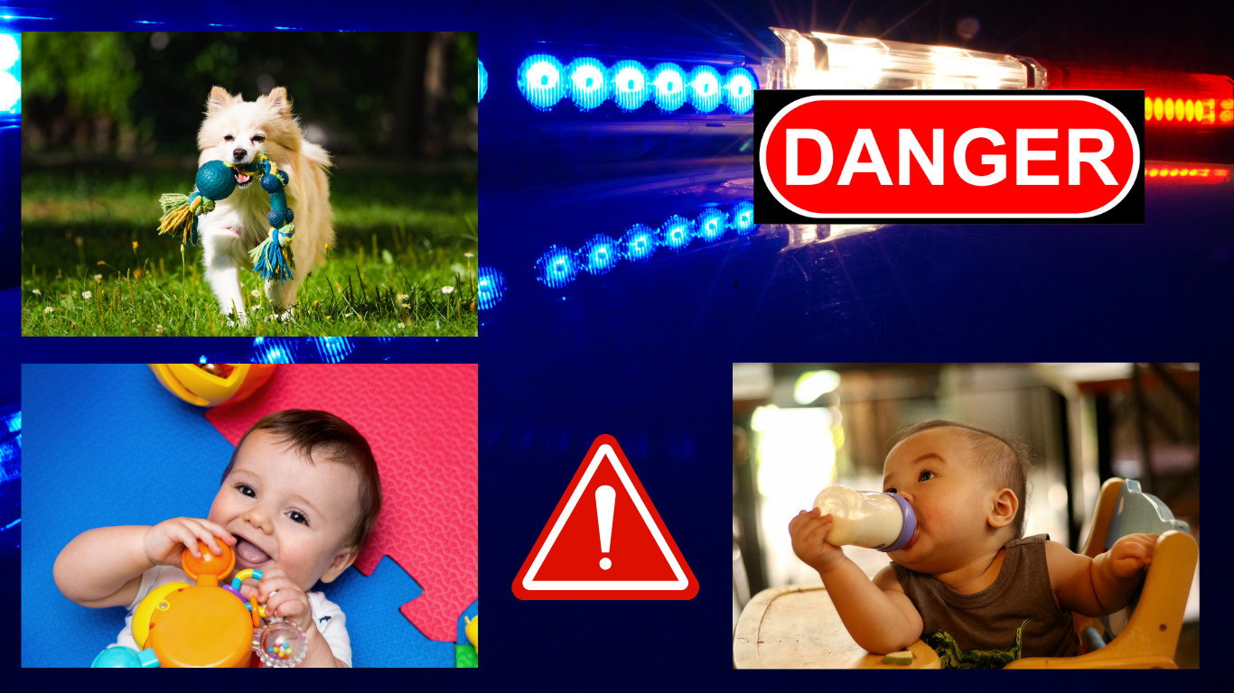 The Warning Nobody Gives You: The Consumer Dilemma in the Digital Age