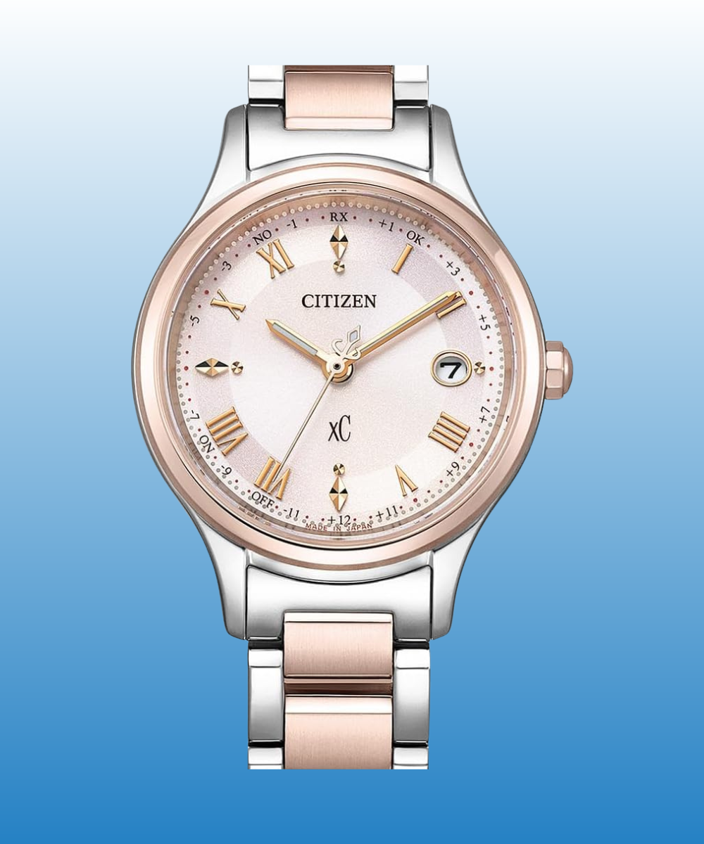 Citizen model 2